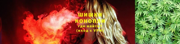 соль ск Белокуриха