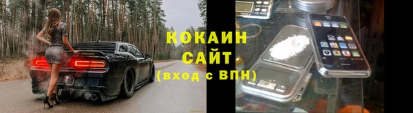 амф Богданович