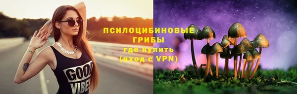 соль ск Белокуриха