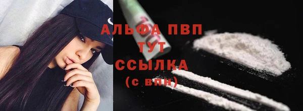 амф Богданович