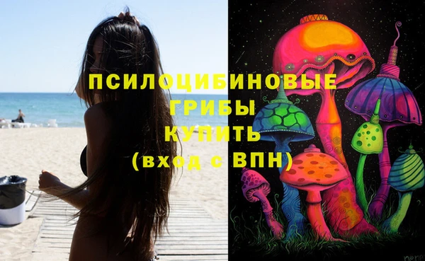 гидропоника Белоозёрский